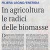 Filiera Legno/Energia - In agricoltura le radici delle biomasse