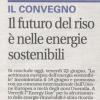 Il futuro del riso è nelle energie sostenibili